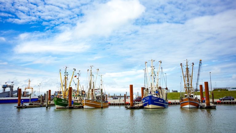Fischerboote im Hafen von Norddeich an der Nordsee – maritimes Flair für deinen Urlaub in einer Ferienwohnung.
