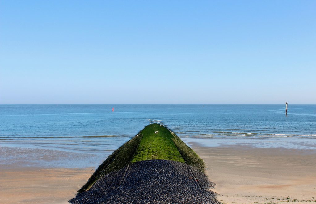Winterlicher Blick auf einen mit Moos bewachsenen Wellenbrecher am Strand von Norderney mit ruhiger Nordsee.