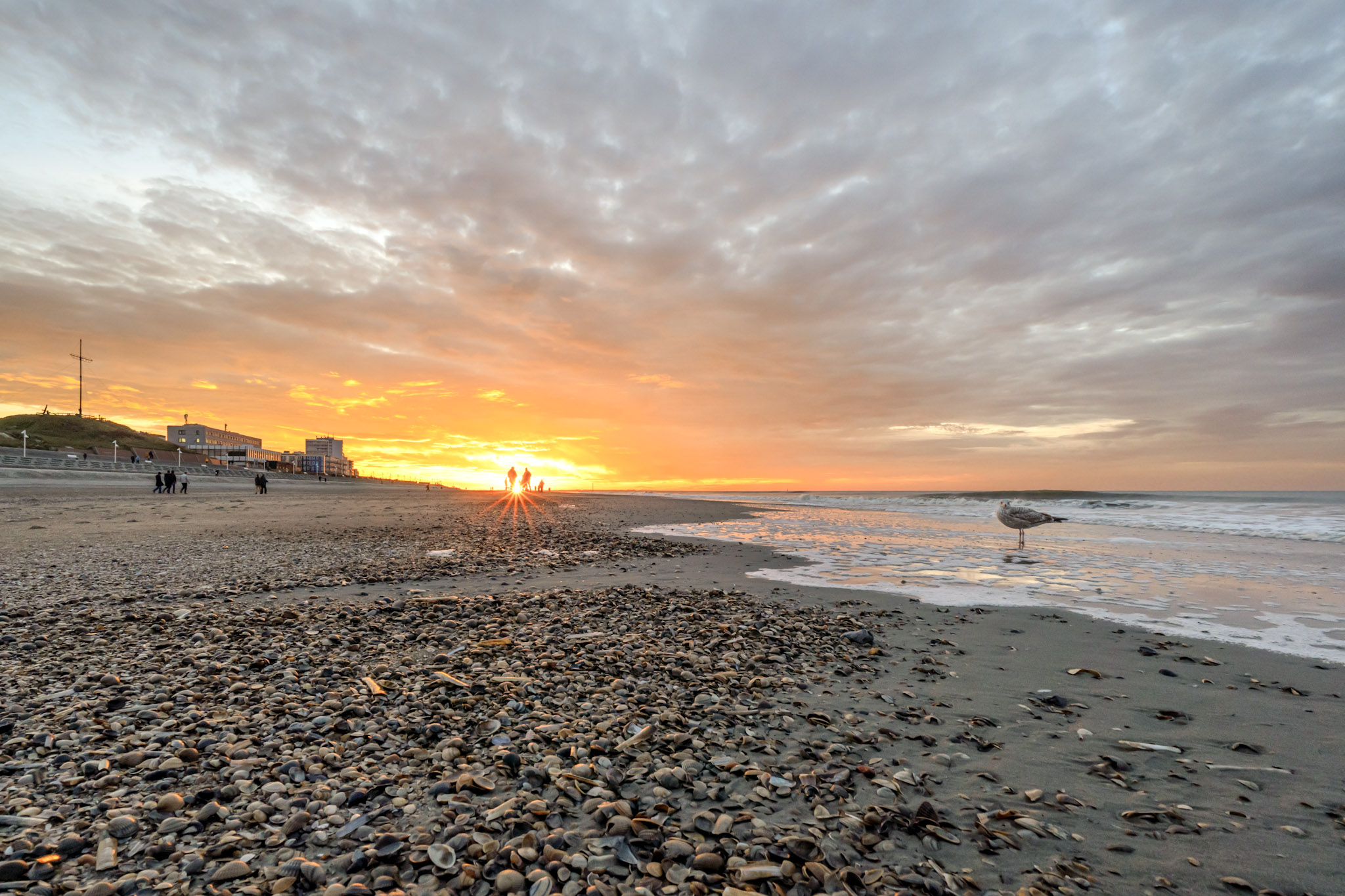 Sonnenuntergang am Nordstrand von Norderney mit Muscheln und Möwe