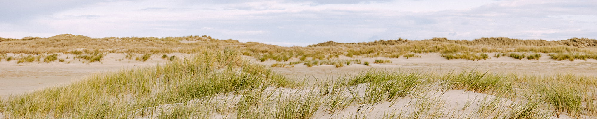 Weite Dünenlandschaft mit Strandhafer auf Norderney unter bewölktem Himmel