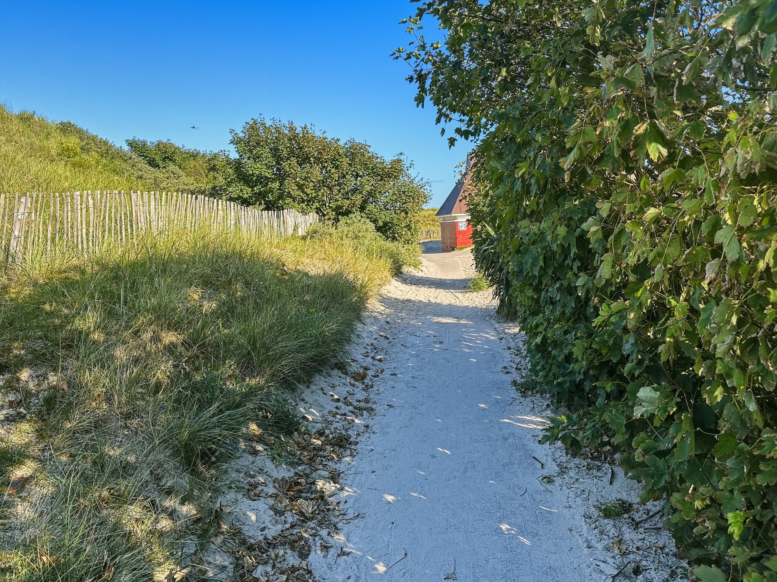 Sandiger Dünenweg durch Strandhafer zum Strand von Norderney