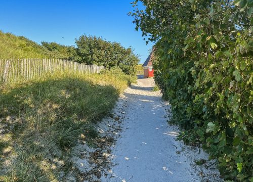 Sandiger Dünenweg durch Strandhafer zum Strand von Norderney