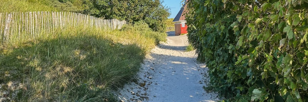 Sandiger Dünenweg durch Strandhafer zum Strand von Norderney